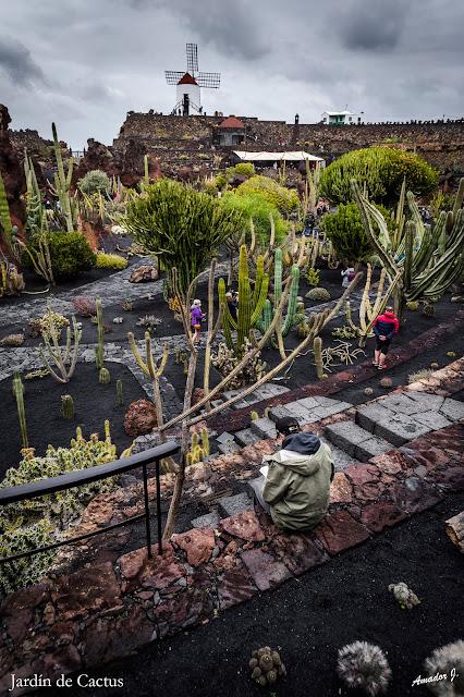 JARDIN DE CACTUS. GUATIZA -LANZAROTE-