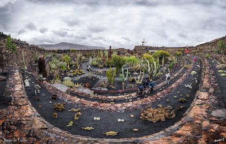 JARDIN DE CACTUS. GUATIZA -LANZAROTE-