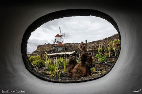 JARDIN DE CACTUS. GUATIZA -LANZAROTE-