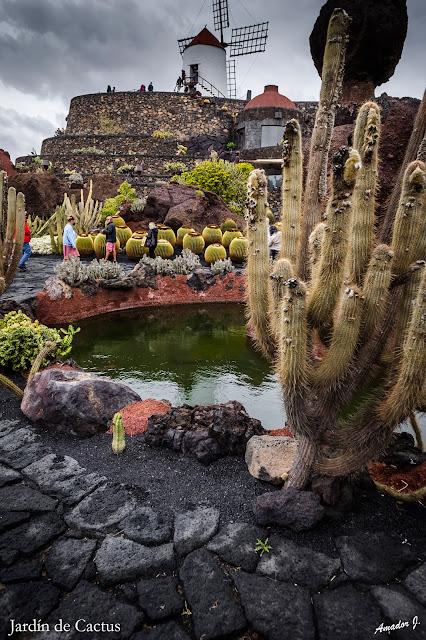 JARDIN DE CACTUS. GUATIZA -LANZAROTE-