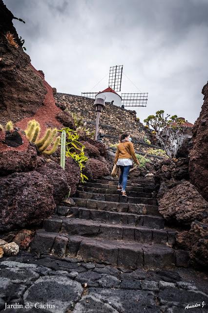 JARDIN DE CACTUS. GUATIZA -LANZAROTE-