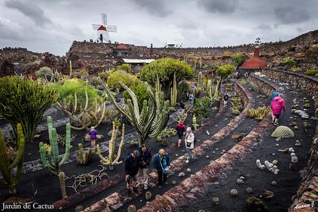 JARDIN DE CACTUS. GUATIZA -LANZAROTE-