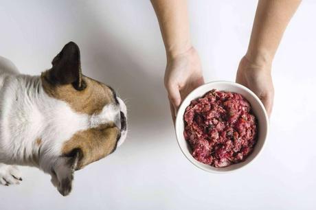 Controlar y prevenir la obesidad en perros, con CRU