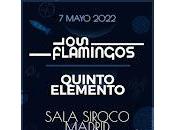 Flamingos Quinto Elemento Sala Siroco