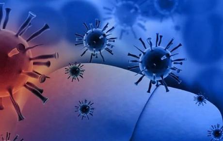 La OMS teoriza que la Hepatitis es causada por un Adenovirus tipo F41