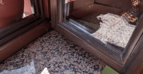 ¿Por qué escoger la madera para tus ventanas? ¿Por qué escoger la madera para tus ventanas?