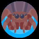 Bug Icon
