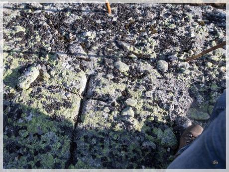 La última mojonera, 1575-2018