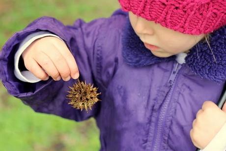 Seed pod outdoors rain play Seed pod outdoors rain play
