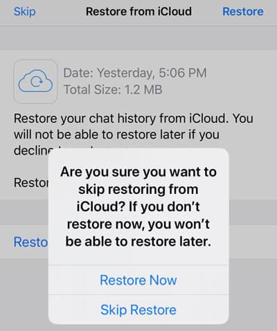 Restore Backup