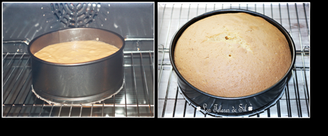 PA DE PESSIC O BIZCOCHO ESPONJA