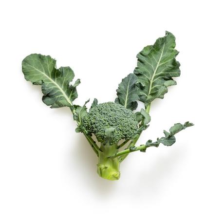 hojas de brocoli 