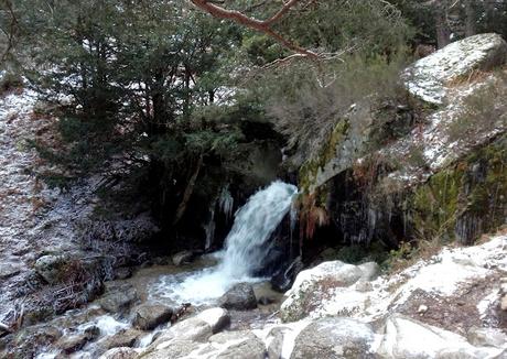 DUCHA DE LOS ALEMANES