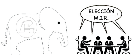 ¿Es la Oncología Radioterápica el elefante en la habitación del M.I.R.?