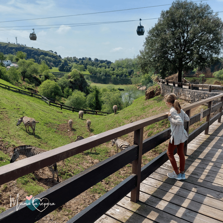 Cabárceno: Parque de la Naturaleza para visitar con niños en Cantabria