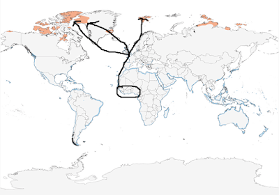 Migración primaveral de limícolas