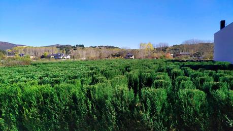 'Un bello Laberinto', el laberinto natural que abrirá este verano en Carucedo para que salgas de la rutina 2