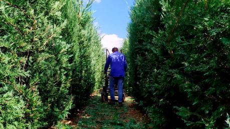 'Un bello Laberinto', el laberinto natural que abrirá este verano en Carucedo para que salgas de la rutina 3