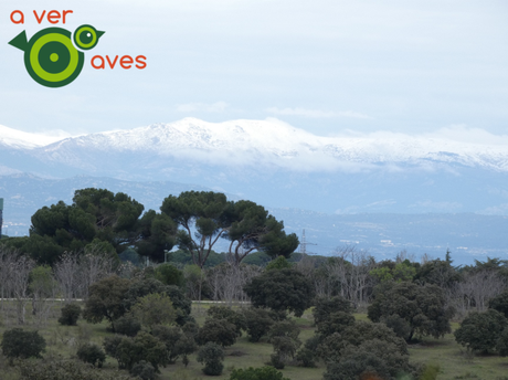¿De verdad quieren destruir estas aulas en la naturaleza?