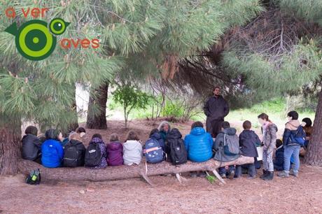 ¿De verdad quieren destruir estas aulas en la naturaleza?