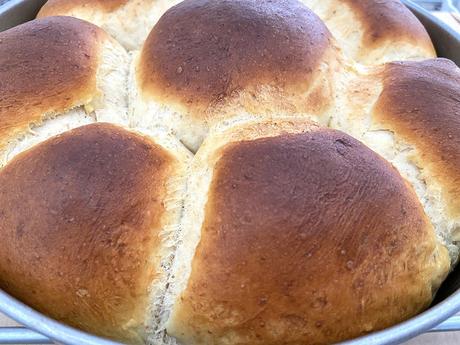 delikatissen super soft bread panecillos brioche pan tierno pan rapido pan japones pan facil pan esponjoso pan casero japanese bread home made bread easy bread bollos tiernos bollos panecillos leche bollos mantequilla  