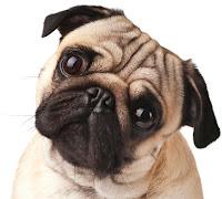 Miss Merkel. El caso de la canciller jubilada de David Safier