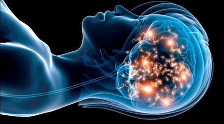 ¿Cuáles son las partes del cerebro asociadas al sueño?