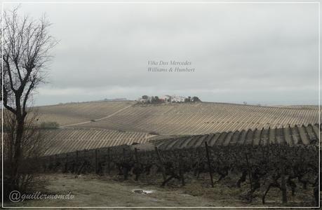 Palo Cortado Don Zoilo 15 años. Williams & Humbert.