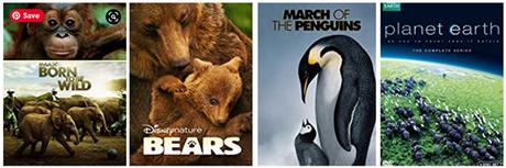 Las 21 mejores películas infantiles sobre la naturaleza para toda la familia 15 Los mejores documentales de naturaleza para niños