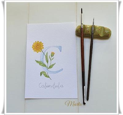 ALFABETO BOTÁNICO EN ACUARELA ALFABETO BOTÁNICO EN ACUARELA