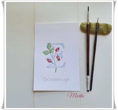 ALFABETO BOTÁNICO EN ACUARELA