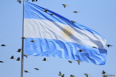 Loros barranqueros en Puerto Madryn