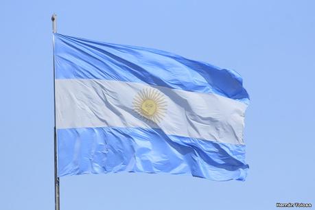 Loros barranqueros en Puerto Madryn