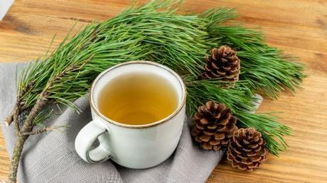 Suramina, aguja de pino, usos beneficios