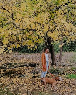 Colores de Otoño en Casa