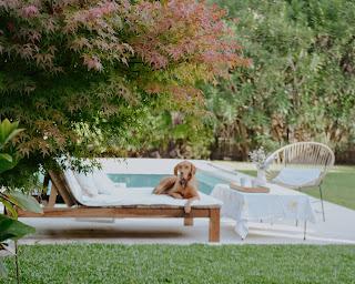 Colores de Otoño en Casa