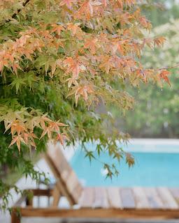 Colores de Otoño en Casa
