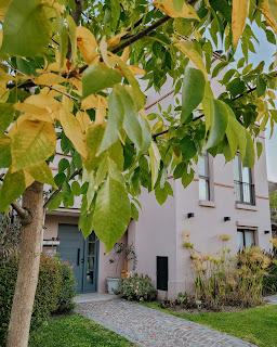 Colores de Otoño en Casa
