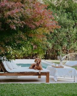 Colores de Otoño en Casa