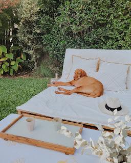 Colores de Otoño en Casa