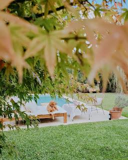 Colores de Otoño en Casa