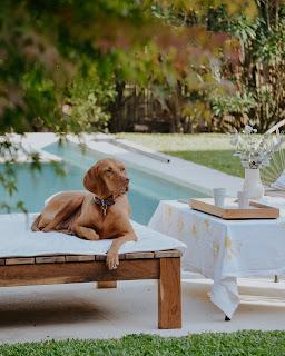 Colores de Otoño en Casa