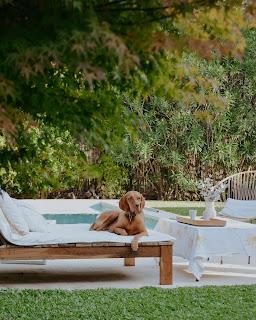 Colores de Otoño en Casa