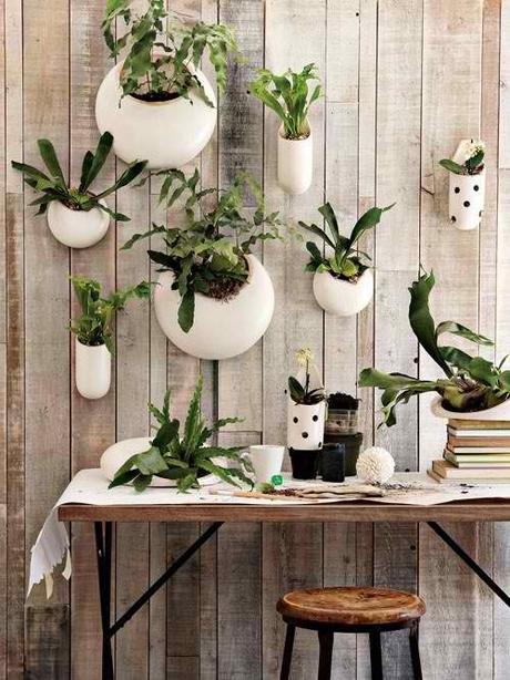 ¿Ya sabes dónde comprar macetas colgantes? Ideas para decorar con plantas en macetas colgantes.