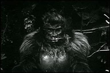 NOVIA DEL GORILA, LA (BRIDE OF THE GORILLA) (USA, 1951) Fantástico, Intriga, Policíaco