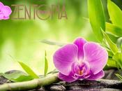 Masaje sensitivo: cuáles beneficios, ZENTOPÍA
