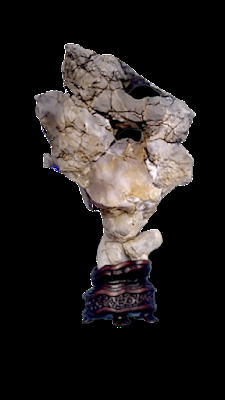 Exposició Masia Freixa 2022 Exposició Masia Freixa 2022