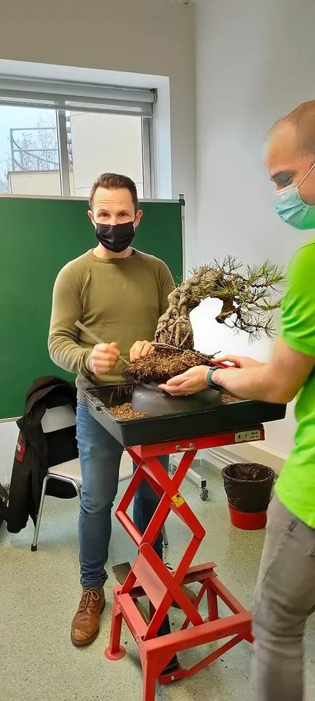 Exposició Masia Freixa 2022 Exposició Masia Freixa 2022