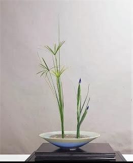 Exposició Masia Freixa 2022 Exposició Masia Freixa 2022