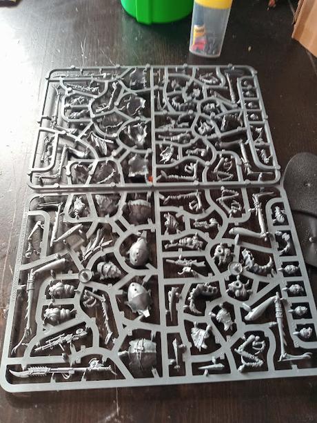 Ash Waste Nomads Dustback Helamites: Foto- unboxing